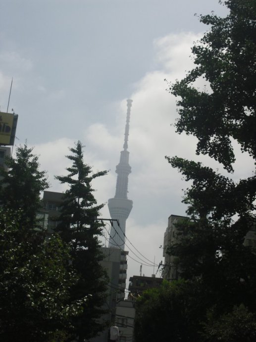 日本东京的城市特点,日本东京被称为什么