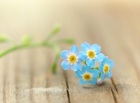 怀孕双胞胎一个是宫外孕,怀孕一个宫内孕一个宫外孕