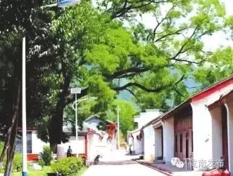 永远的长征完全视频,永远的长征朗诵