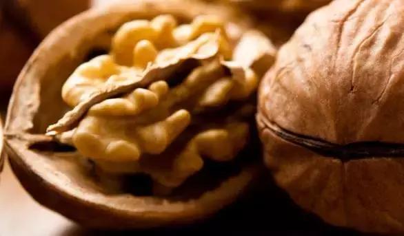 狗狗太瘦不爱吃狗粮怎么办,狗狗最近不怎么吃狗粮而且瘦了