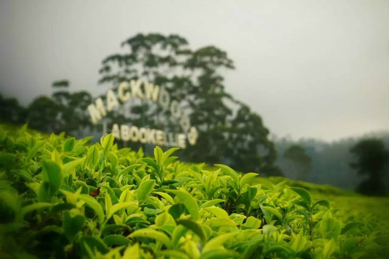 海岛旅游签证,海岛签证推荐