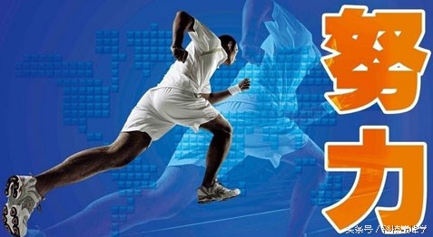 老鸟创业新模式,网络创业老鸟