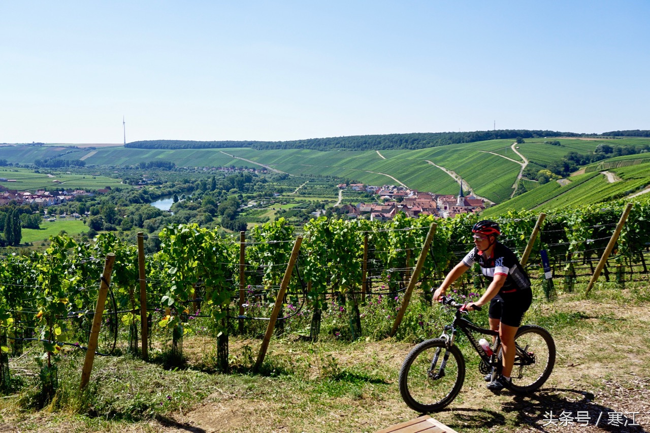 美丽的莱茵河东岸最著名的葡萄酒,法兰肯葡萄酒