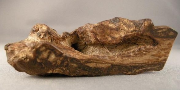 怕被骗和怀疑哪个收获最大,白奇楠沉香怎么辨真假