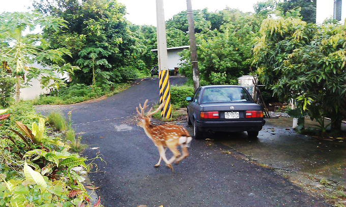 垦丁自驾游包车,垦丁大街春节包车多少钱