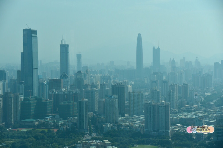 深圳美食广场推荐,深圳美食仙境打卡地