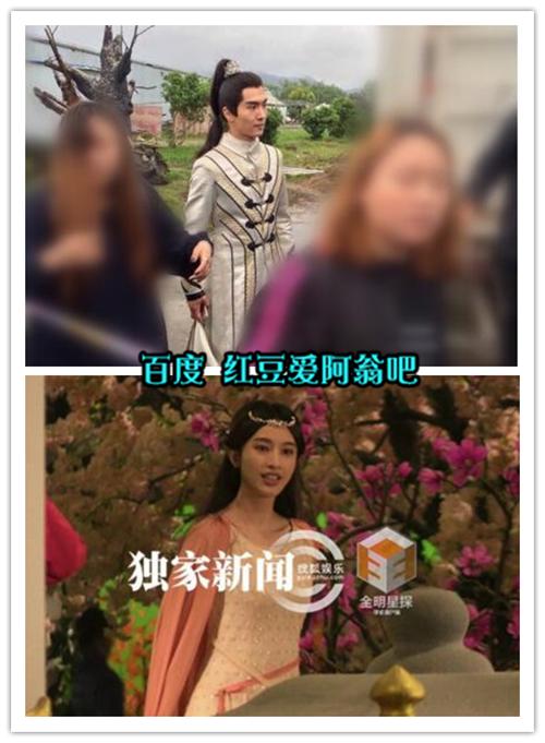 谁是IP之王盘点年度热门开拍影视剧