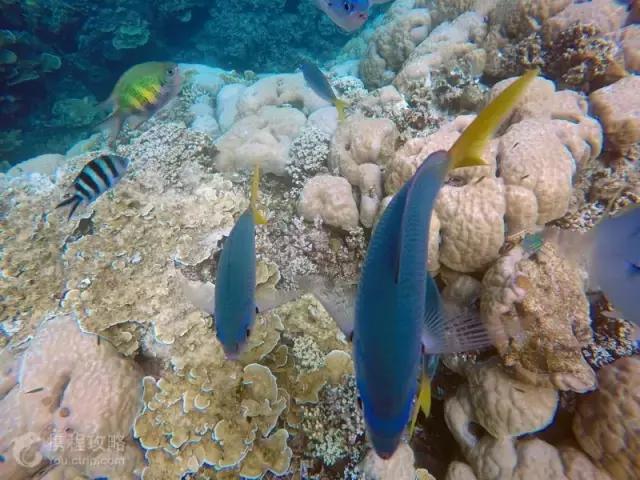 帕劳免签有必要去吗,帕劳对全世界免签吗