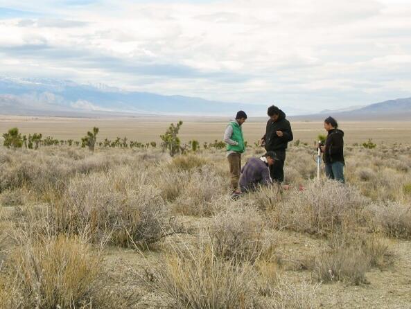 深泉学院的真实面目,留学趣闻