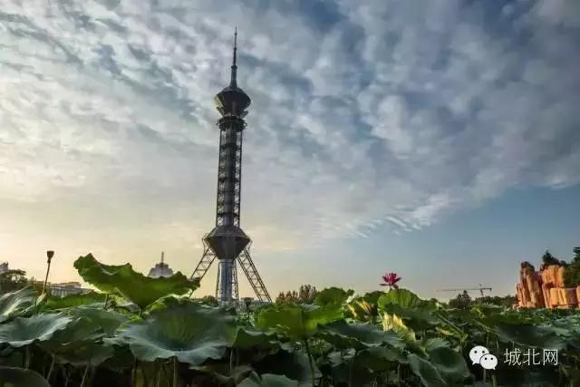 石家庄8个区谁最牛？万万没想到，最富区和最穷区居然相差10倍