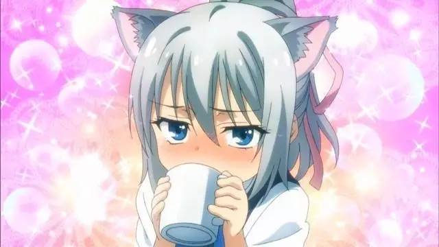 不管做得怎样态度是好的——简评《禁忌咒纹》