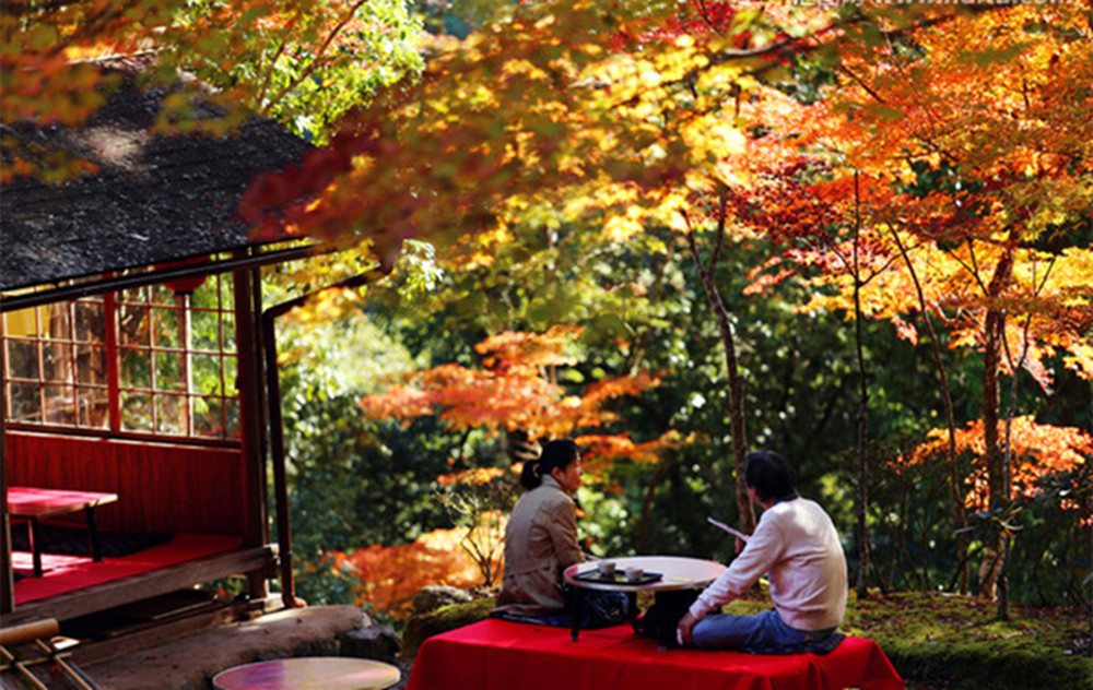 在这秋冬时节泡上一杯暖暖的红茶,教您冲泡一杯好喝的红茶