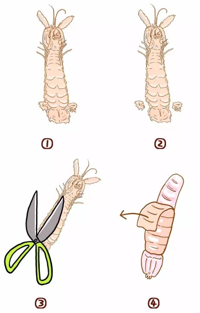 皮皮虾这样处理吃起来不扎嘴,皮皮虾扎了一下怎么处理