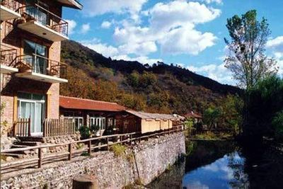 国庆带狗狗合适去哪玩,国庆狗狗出去浪