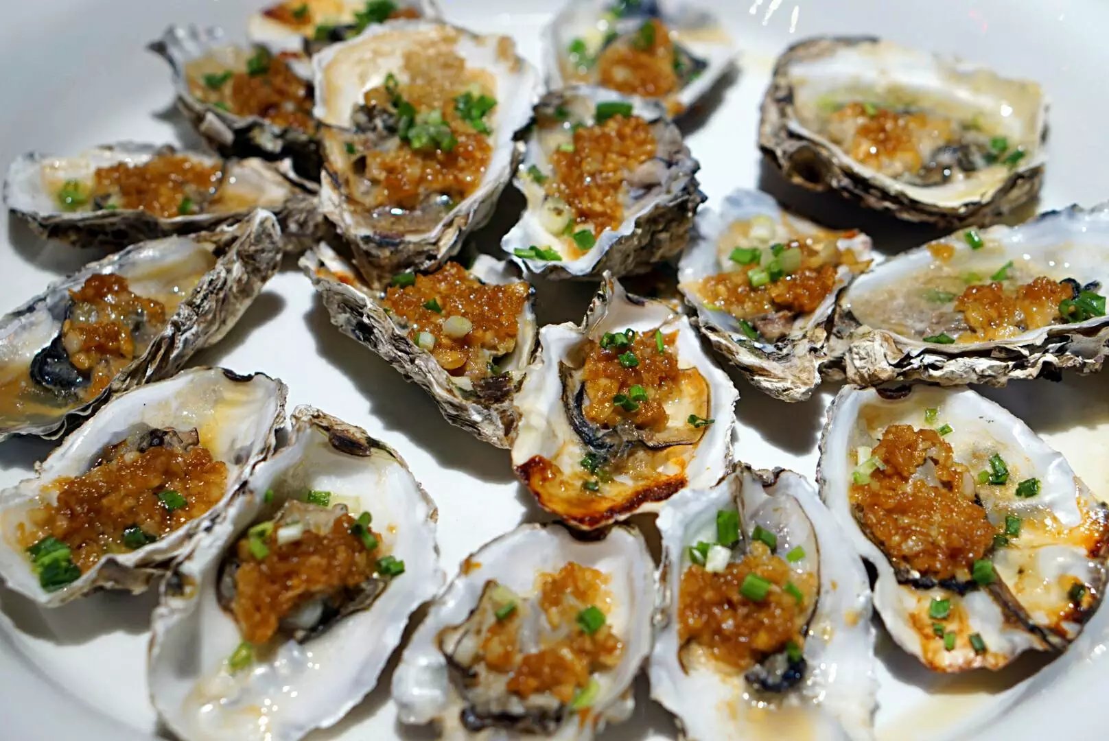 好伦哥海鲜自助回龙观,北京好伦哥海鲜自助餐