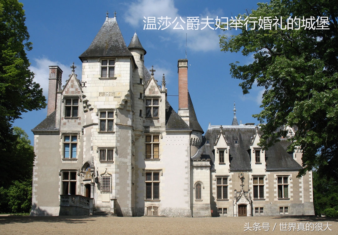 温莎公爵夫人为啥后悔,温莎公爵夫人有孩子吗