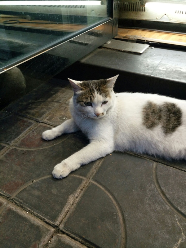 去西安跟旅行团靠谱不,西安出发去敦煌五日游攻略