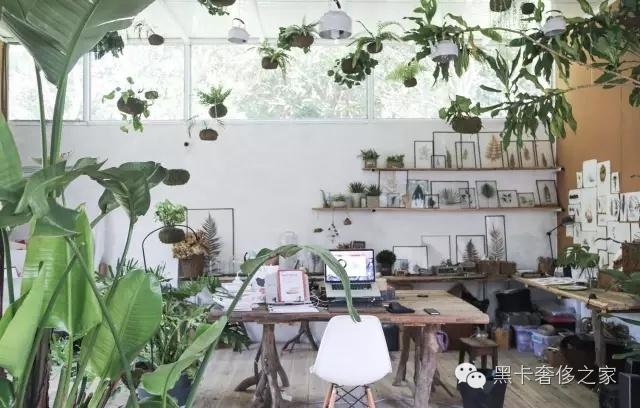 不要爱马仕不要LV,90后情侣花6万块造了个300㎡的大房子