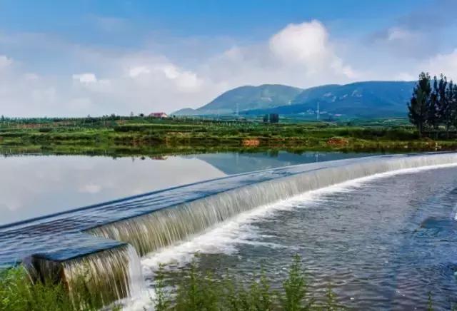 一个外地人眼中的菏泽,一个外地人眼中的文登