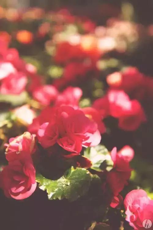 媳妇一定要给婆婆买的礼物,媳妇怎么高情商要婆婆买东西