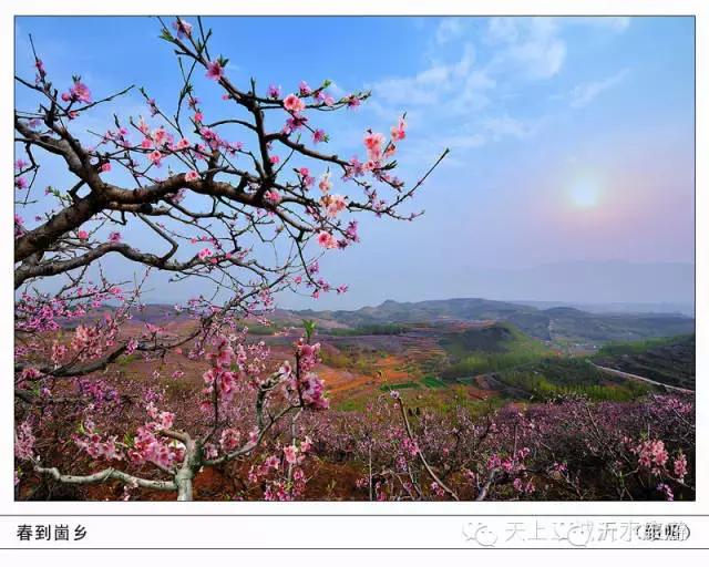 一个外地人眼中的菏泽,一个外地人眼中的文登