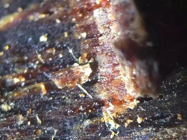 富二代为淘美女欢心，花80买一克奇楠沉香，美女看到当场说分手