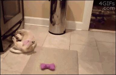 技能贴！教你如何和男朋友分手