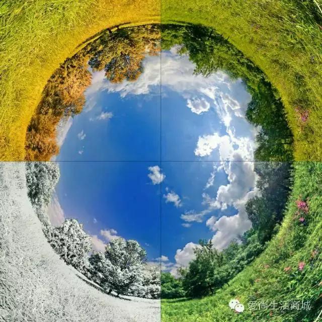 注意秋天！掉头发的高峰期来了，这可是“头”等大事。