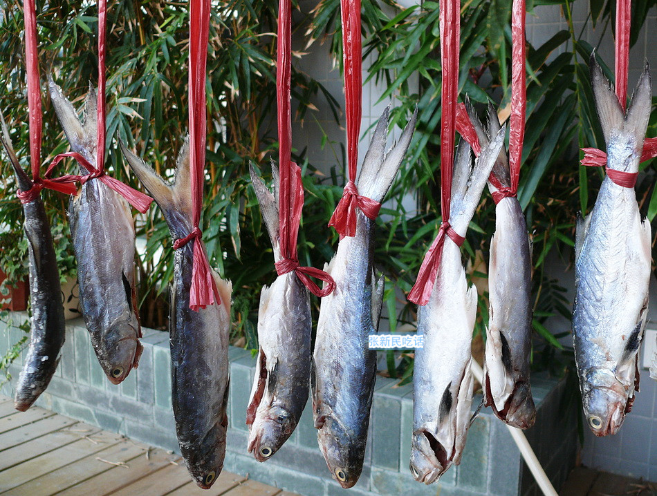 哪种咸鱼好吃无刺,黄色的咸鱼和白色咸鱼哪种好吃