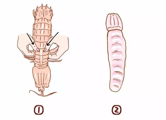 皮皮虾这样处理吃起来不扎嘴,皮皮虾扎了一下怎么处理