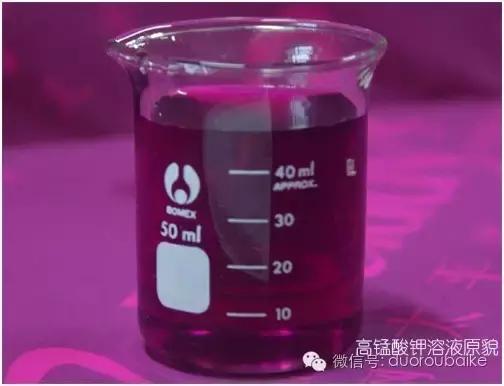 多肉植物能够用高锰酸钾杀菌吗,多肉怎么用高锰酸钾消毒