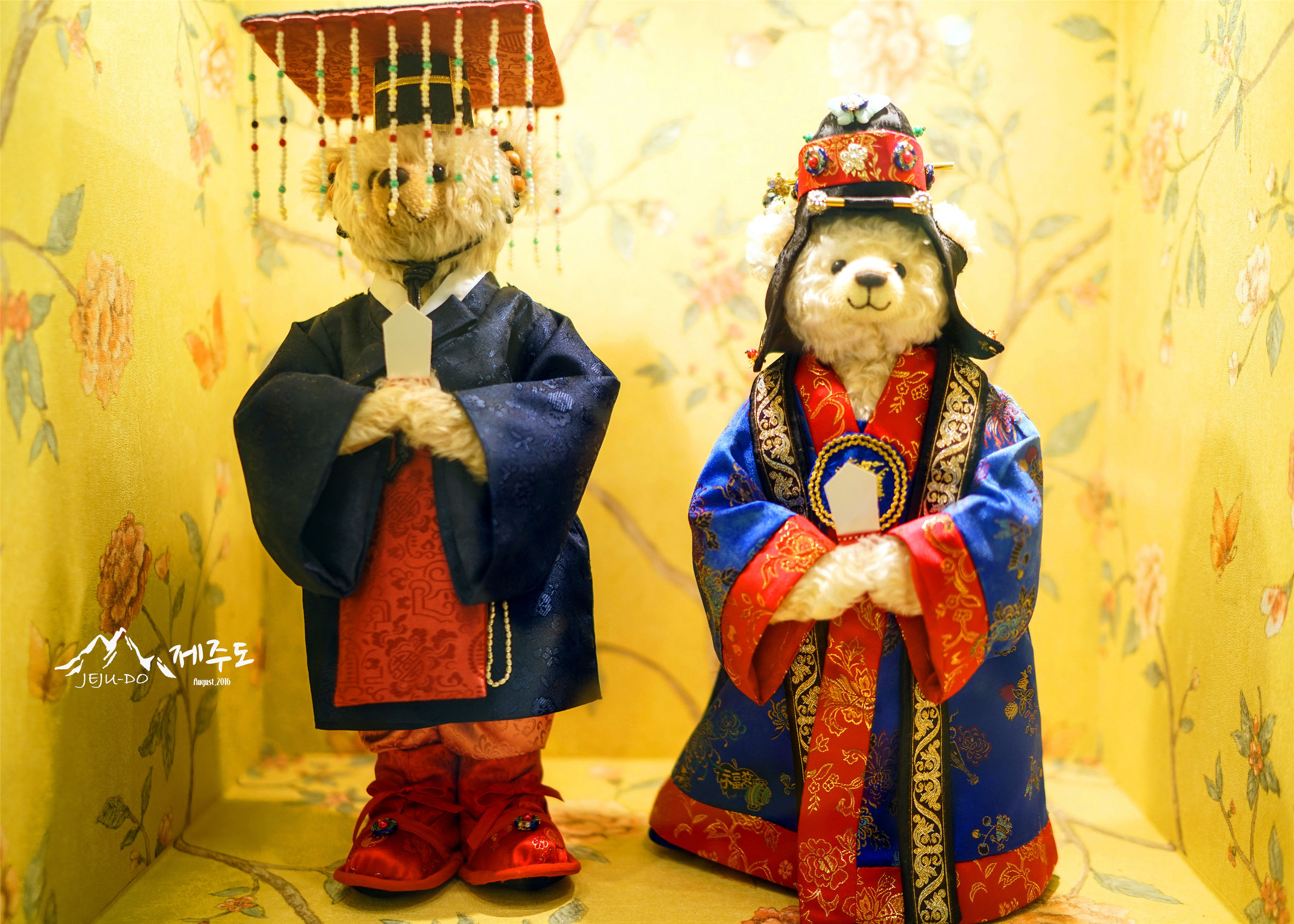 济州岛雨天旅行攻略视频,冬季济州岛亲子游详细攻略