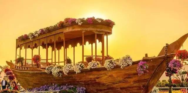 清远长隆森林主题乐园亚洲最大,广东清远长隆游乐园攻略