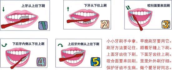 早晚都有人认真刷牙为啥还有蛀牙,每天都有刷牙为什么牙齿还会烂