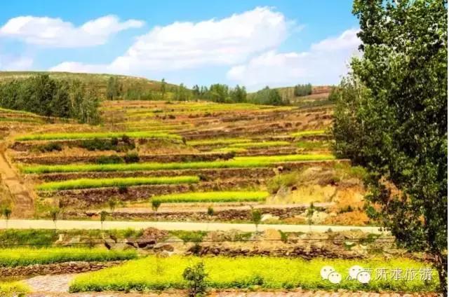 一个外地人眼中的菏泽,一个外地人眼中的文登