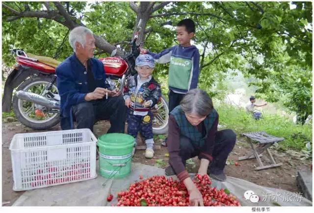 一个外地人眼中的菏泽,一个外地人眼中的文登