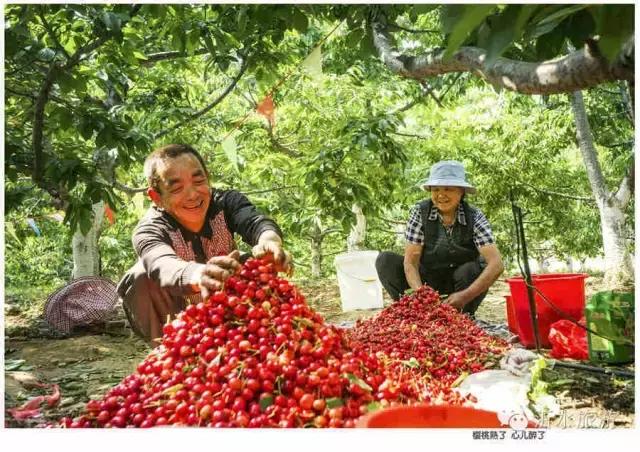 一个外地人眼中的菏泽,一个外地人眼中的文登