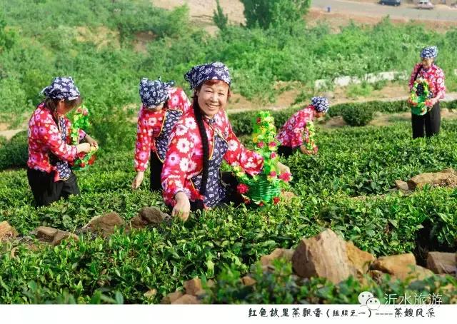 一个外地人眼中的菏泽,一个外地人眼中的文登