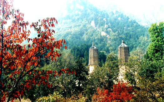 国庆带狗狗合适去哪玩,国庆狗狗出去浪