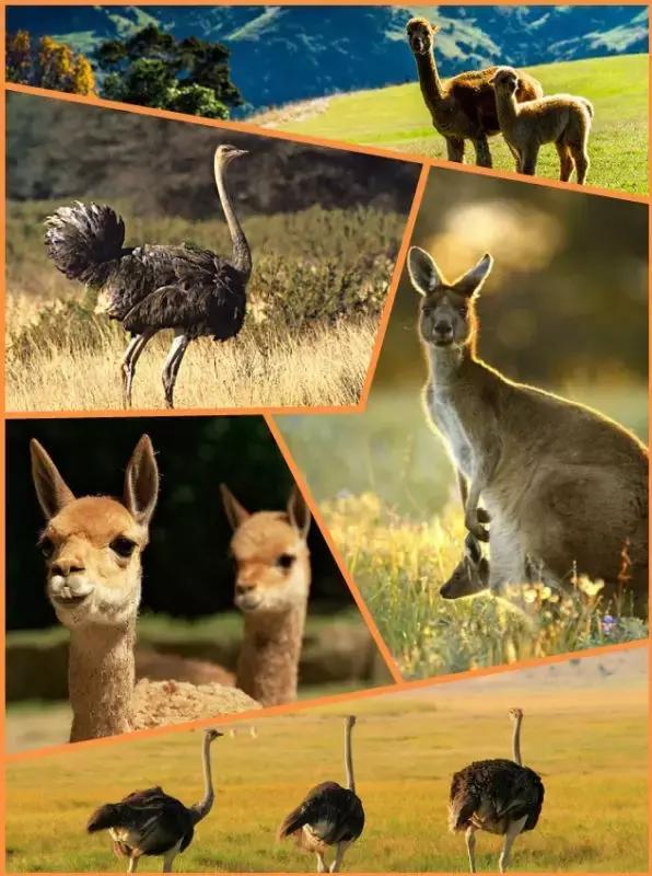 十一长假去哪里,十一长假去哪里玩呢