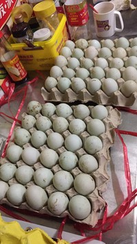 做咸蛋怎么做法最好吃不会裂壳,怎么泡咸蛋才能做出没有油的咸蛋