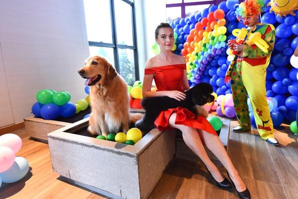 国庆带狗狗合适去哪玩,国庆狗狗出去浪