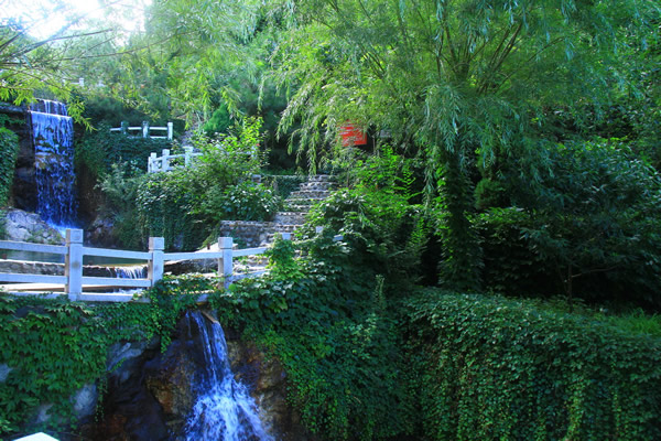 国庆带狗狗合适去哪玩,国庆狗狗出去浪