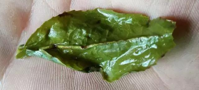 铁观音为什么味道淡,铁观音很苦涩