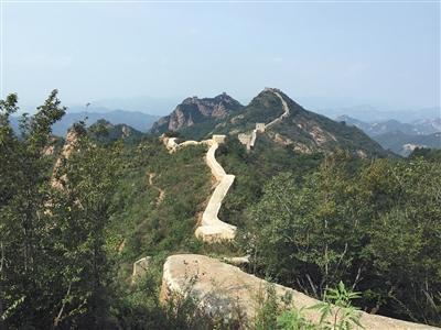 *今条头日**9月长文推荐：1.7万字长文如何赢得百万+阅读量