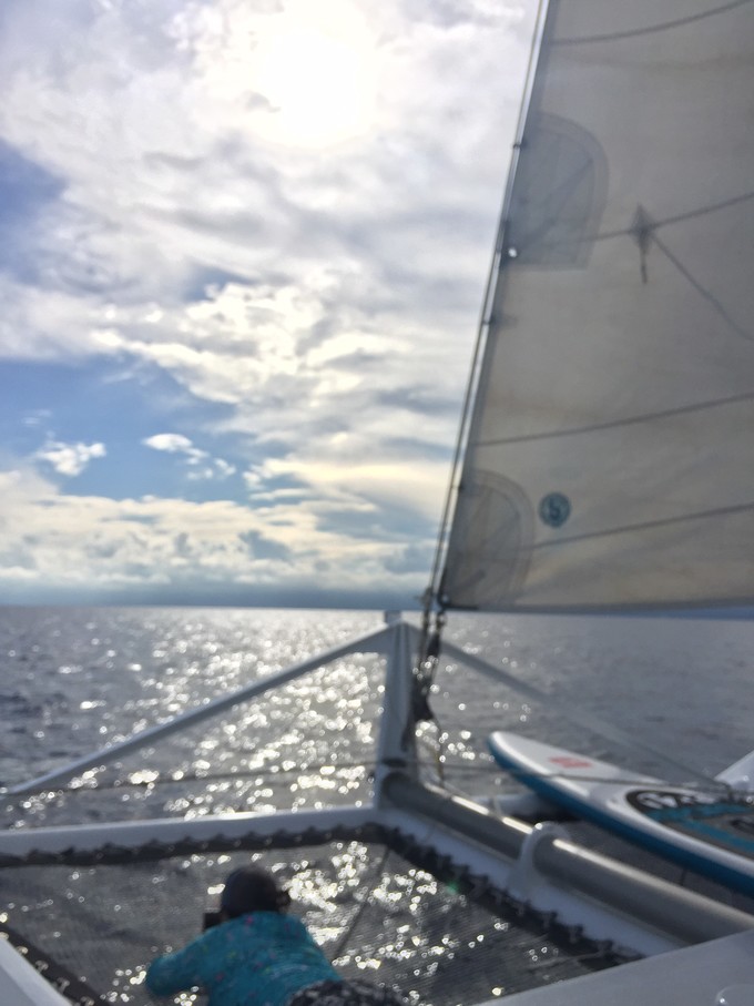 菲律宾潜水攻略 (菲律宾潜水游记)