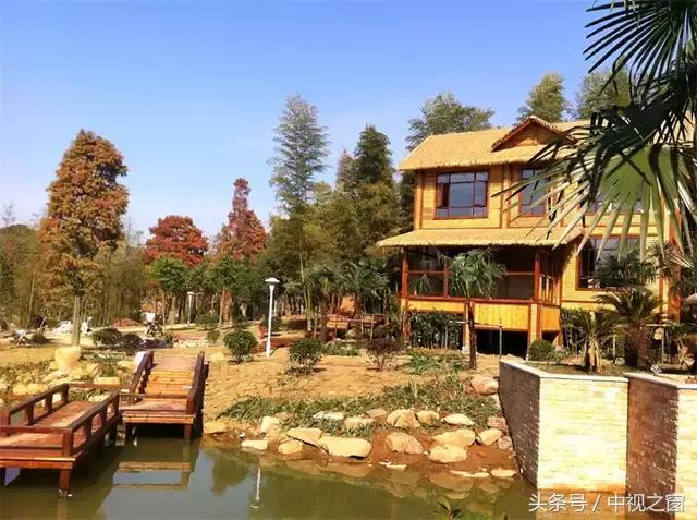 湖北洪湖小众旅游景点推荐,洪湖周末游玩好去处