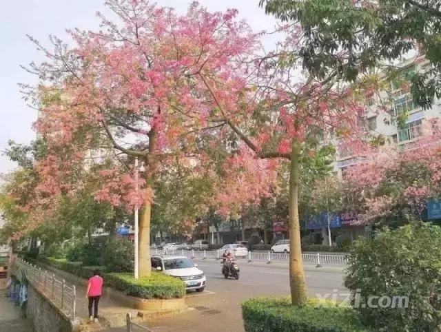 惠州发布最新提醒,惠州最新规定通知