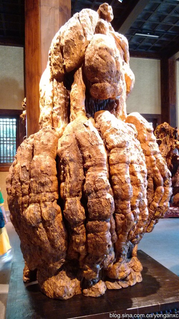 开化根宫佛国免费游玩,衢州开化佛国视频