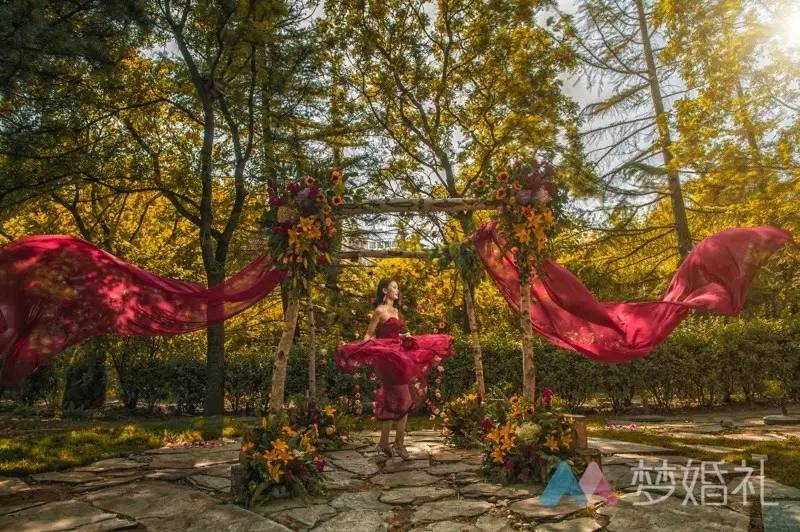 这场还原“暮光之城”的波西米亚婚礼，一只心机柯基告捷抢镜